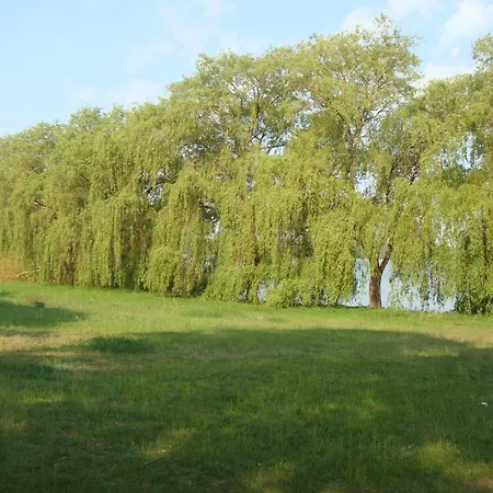 Am Wariner See Warin